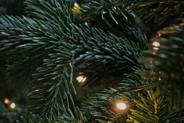 I umělý vánoční stromek může být krásný. Stačí, aby měl realistické jehličí